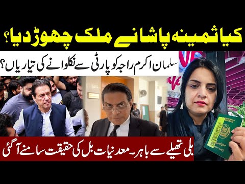 Samina Pasha Leave Pakistan? Big News Reveal l Will Salman Akram Raja Get Out From PTI?