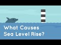 Understanding Sea Level Rise