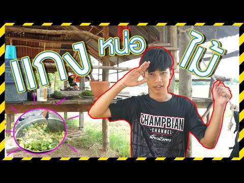 เชฟเรียว-:-เมนู-เเกงหน่อไม้-กับ-บรรยากาศทุ่งนา-ยามเย็น-เชฟเร เชฟเรียว Channel เชฟเรียว : เมนู เเกงหน่อไม้ กับ บรรยากาศทุ่งนา ยามเย็น เชฟเร