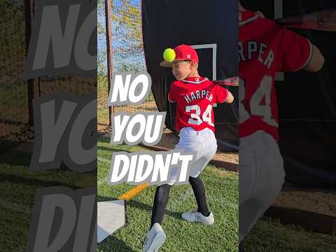Who uses a dog toy to play baseball?!?  #baseball #baseballlife #baseballswing