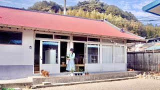 내가 월세 시골집을 구한 방법 🌿 그리고 끝이 없는 잡초와의 전쟁