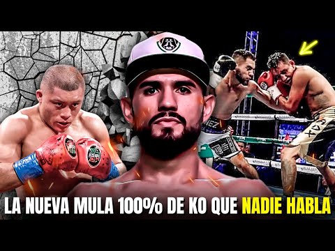 ¡Tiene x100 de PEGADA mas que el PITBULL! El Nuevo Animal del Boxeo que Parte Cráneos