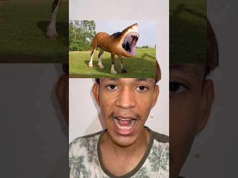 É ISSO QUE ACONTECE QUANDO ANIMAIS OPOSTO SE ACASALAM
