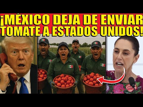¡MÉXICO SE CANSÓ! DEJA DE ENVIAR TONELADAS DE TOMATE A ESTADOS UNIDOS!