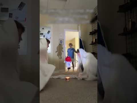 Broma entre hermanos 😂 #shortvideo #trending #epic #viral