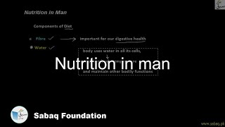 Nutrition in man