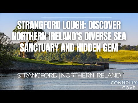 Strangford Lough: Discover Northern Ireland's Diverse Sea Sanctuary and Hidden Gem | NI Things To Do