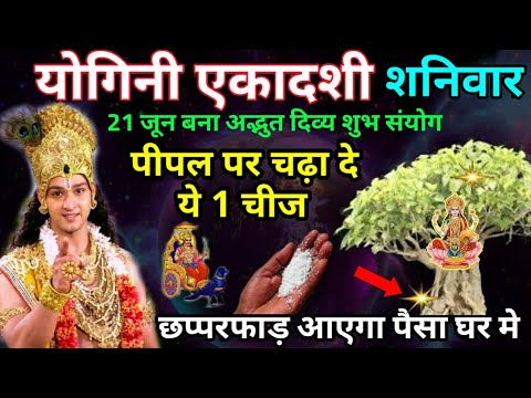 21 जून शनिवारी योगिनी एकादशी पीपल के नीचे रख दे ये 1 चीज इतना बरसेगा पैसा सम्भाल नहीं पाओगे Ekadashi