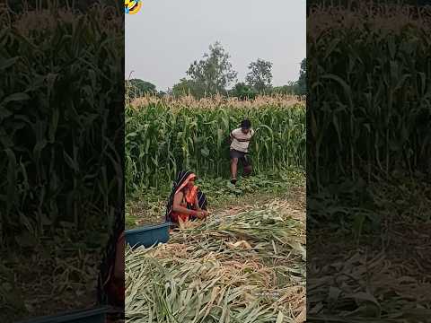 #shorts #shortsvideo #shortsviral | vijay bitoli jaunpuriya | #ट्रेंडिंग | short
