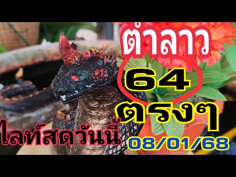 ไลท์สดวันนี้ #ตำลาว 8/01/68