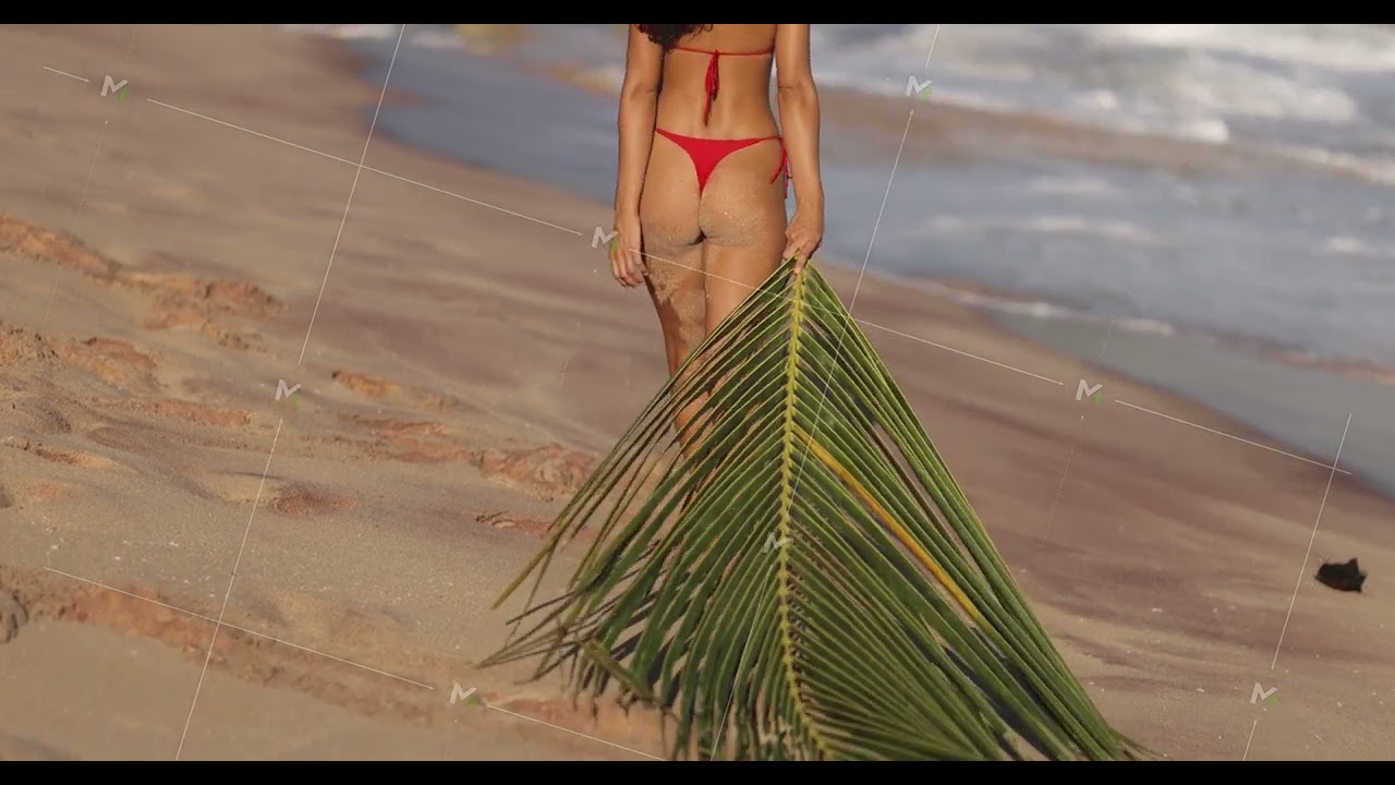 Walk of Bikini Beach Woman With Palm Leaf During Sea Vacation