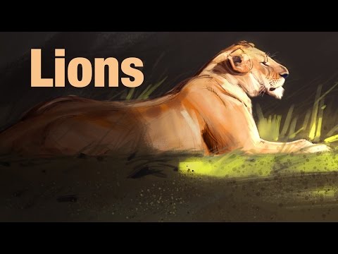 Drawing Animals - Lions - YouTube