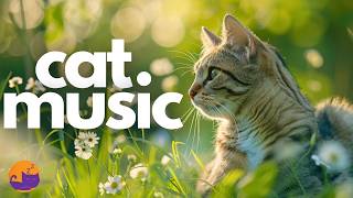 A Calm Space for Cat to Rest & Sleep 🐱 11 Hour Ambient Music for Cats 🌙