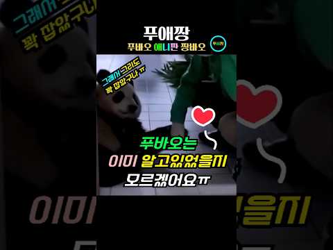 푸바오 할부지 손을 꼭 쥔 것이 아마도 ㅠ