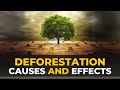 Deforestation Causes and Consequences