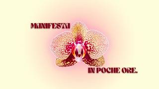 più ti lasci "fare schifo" più velocemente manifesti...