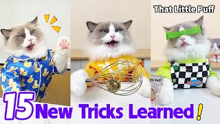 15 New Tricks Learned! 😝| That Little Puff