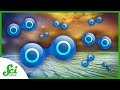 Understanding Oxygenation and Evolutionary Traps