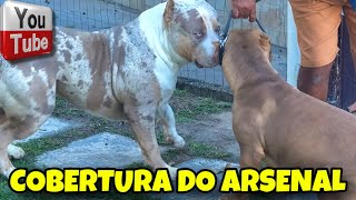💰Aumentei a cobertura do ARSENAL!