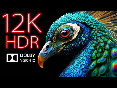 The First 12K HDR 120fps Dolby Vision