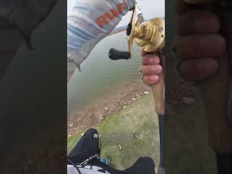 This guy caught fish with a fishing rod. #shortvideo