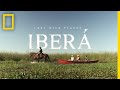 Rewilding in Iberá: A Conservation Journey