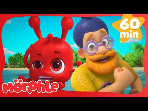 Morphle The Shark 🦈 | Fun Animal Cartoons | @MorphleTV  | Learning for Kids