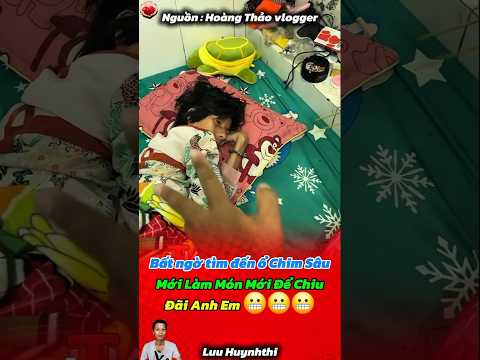 Bất Ngờ Tìm Đến Ổ Của Chim Sâu Mới Làm , Chim Sâu đãi món mới cho ae #shorts #luuhuynhthi