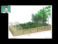 Pioneer Species and Ecological Succession