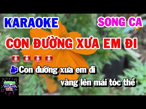 Nhạc Sống Karaoke | Con Đường Xưa Em Đi | Song Ca Gm | Thanh Hai