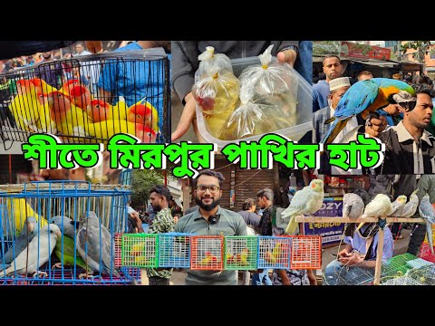 টিয়া পাখির দাম_মিরপুর পাখির হাট_Betta fish,lovebirds,macaw in bd_Biggest pet market in BD_Part-2