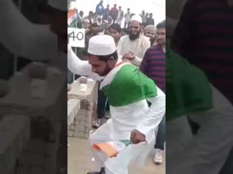 आदिल खान नारियल तोड़ते हुए 💪💪💪😱😱😱#reels #trending #shorts #trendingshorts