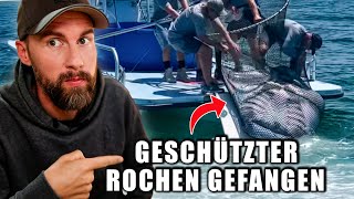 MANTAROCHEN für SEAWORLD GEFANGEN – Sowas habe ich früher auch gemacht? | Robert Marc Lehmann