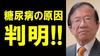 【武田邦彦】医者が絶対に言わない「糖尿病の本当の原因」がついに判明しました！！