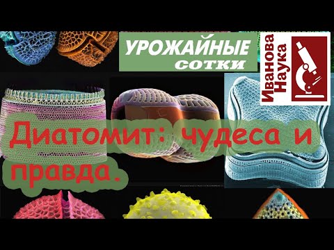 Разбор полетов. Диатомит: какой бывает и какого следует избегать