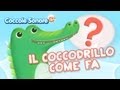 Animali e i loro versi