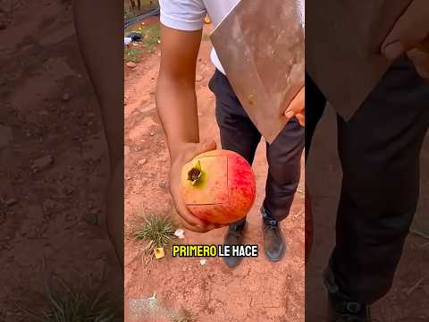 Podría ser la primera persona en pelar una granada así 🤯🍴