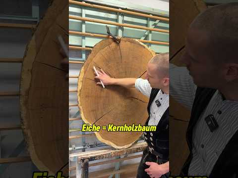Aufbau des Baumes in 60 Sekunden #wood #handwerk #shorts #ausbildung