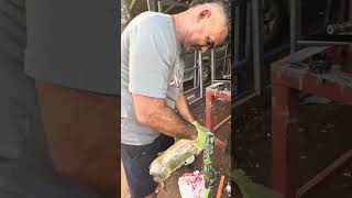 Arreglando mi Bate a domicilio. 1-849-397-0318