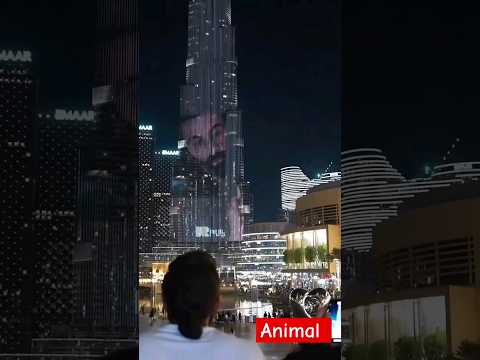 Animal 's Dubai promo #MrKrishnaVlogs  #Dubai #ytshorts #shorts #animals #bollywood #vlog
