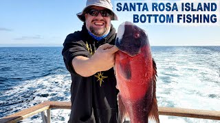 Santa Rosa Island Bottom Fishing on the Pacific Dawn Giant Black Sea Bass RELEASED Yellowtail
