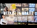 Life Transitions and Challenges