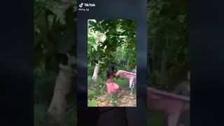 cười xuống địa ngục#shorts