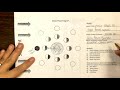 Understanding Moon Phases and Features