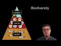 Biodiversity and Ecosystem Services