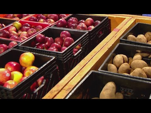 YouTube video thumbnail: Oregon Sues Trump Admin Over Requests for Snap Data in 'Deportation Machine'