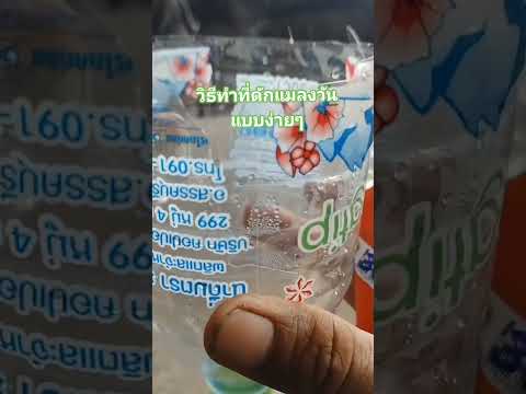 วิธีทำที่ดักแมลงวันแบบง่ายๆ#วิธีทำที่ดักแมลงวันแบบง่ายๆ