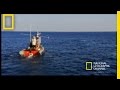 Blue Whale Behavior and Mysteries