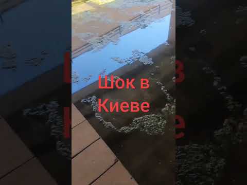 На болотах всё стабильно