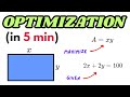 Optimization Problems in Calculus